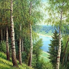 Схема вышивки «березы природа»