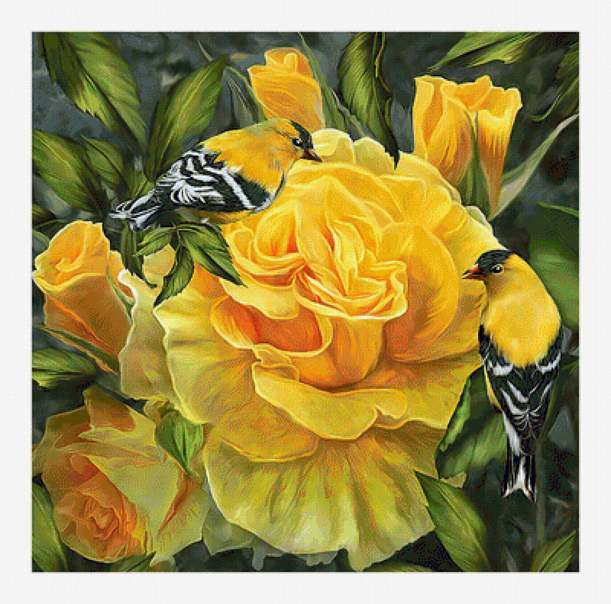 ROSAS AMARILLAS Y PAJAROS - предпросмотр