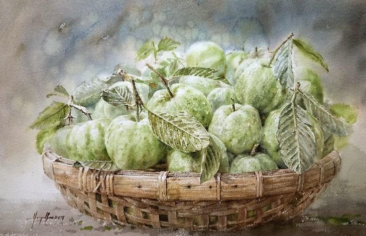 гуава - натюрморт - оригинал