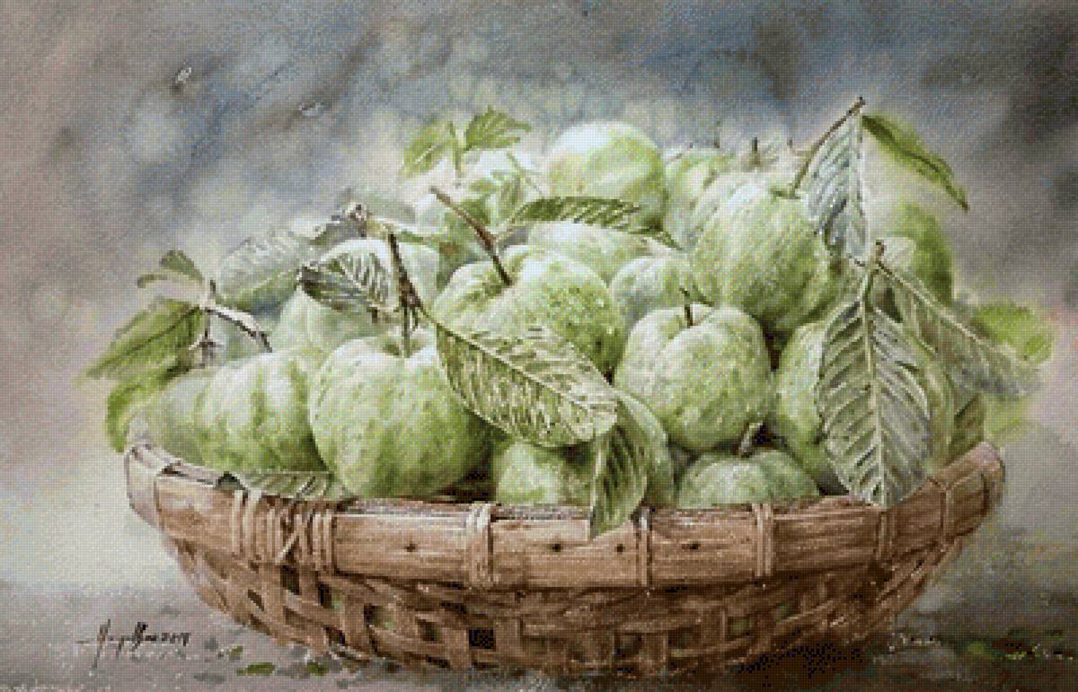 гуава - натюрморт - предпросмотр