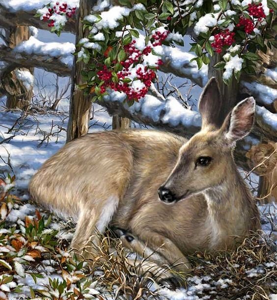 дикие - оригинал