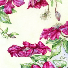 Схема вышивки «Клематисы»