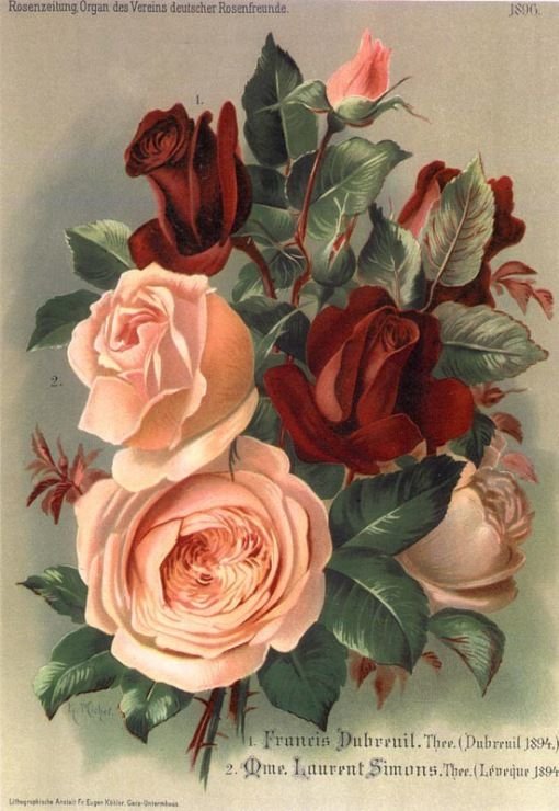 РОЗЫ - цветочные винтажные открытки - оригинал