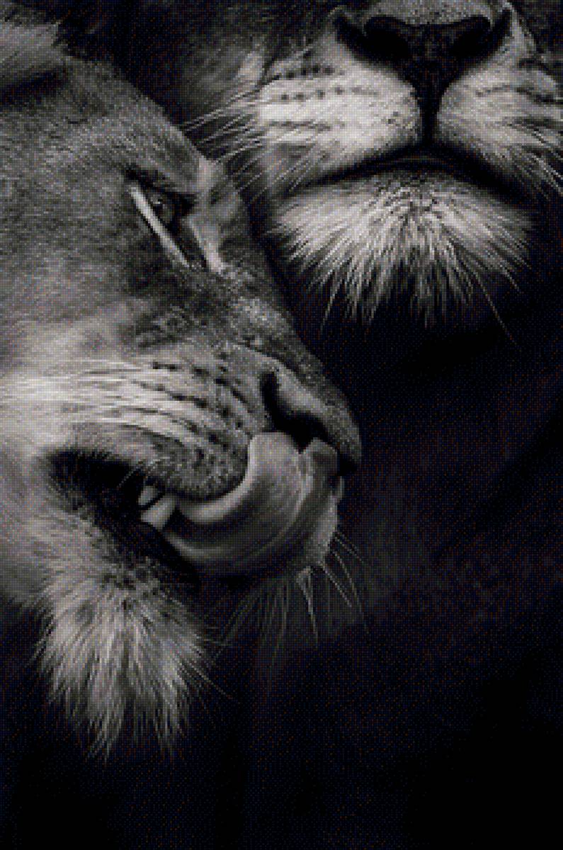 пара2 - предпросмотр