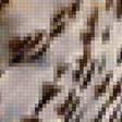 Предпросмотр схемы вышивки «совуша» (№2168576)