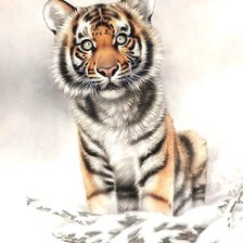 Схема вышивки «тигрёнок»