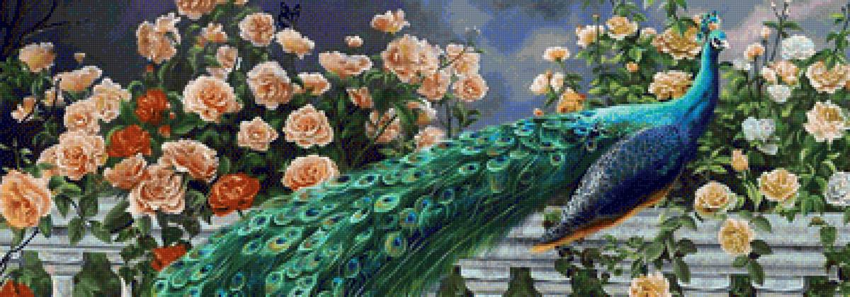 художник nene thomas42 - павлин - предпросмотр