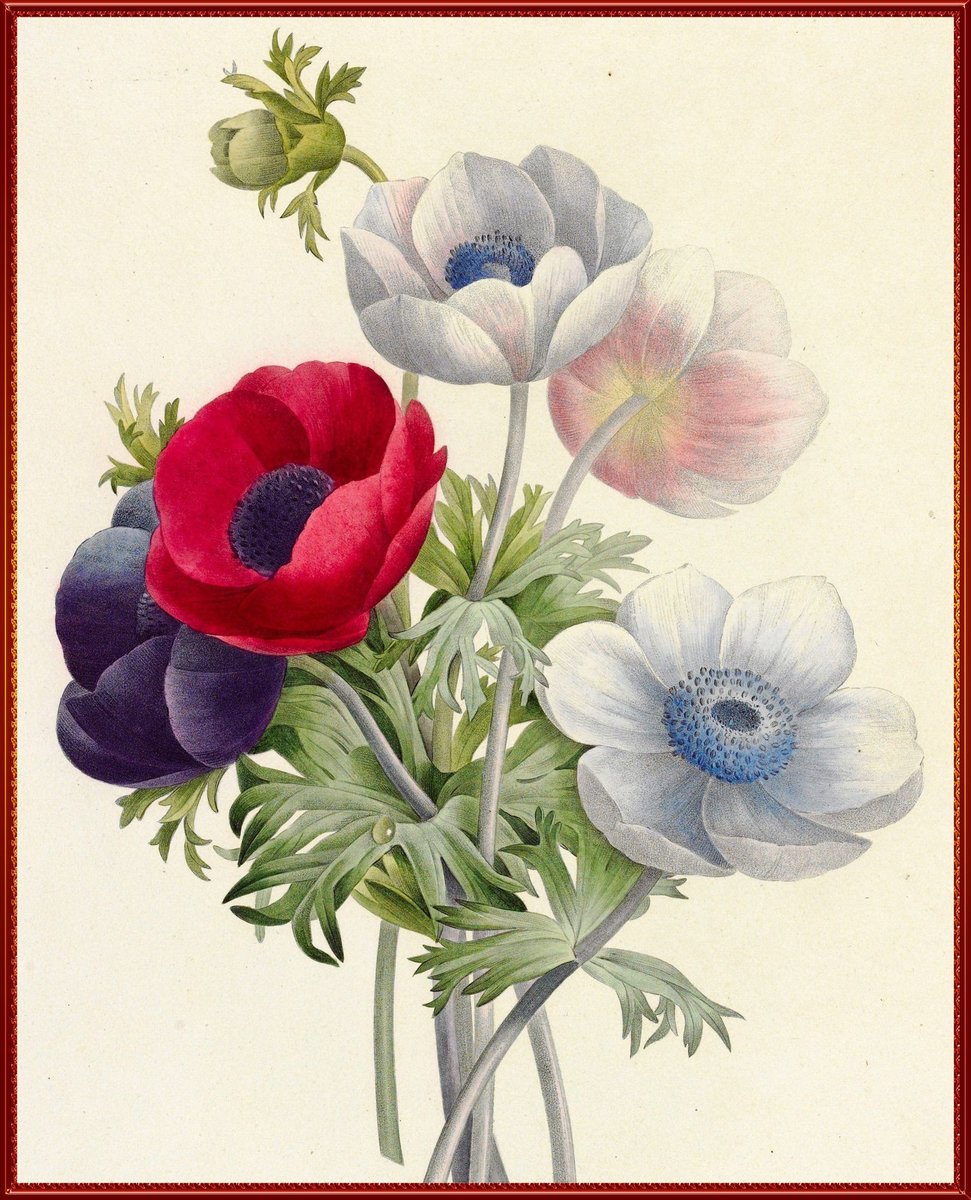 Цветы - цветы - оригинал