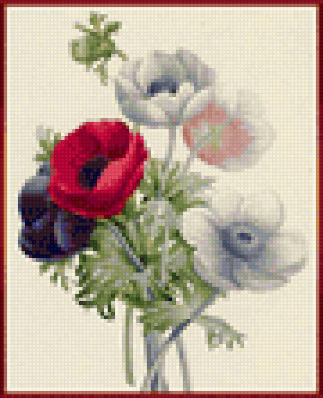 Цветы - цветы - предпросмотр