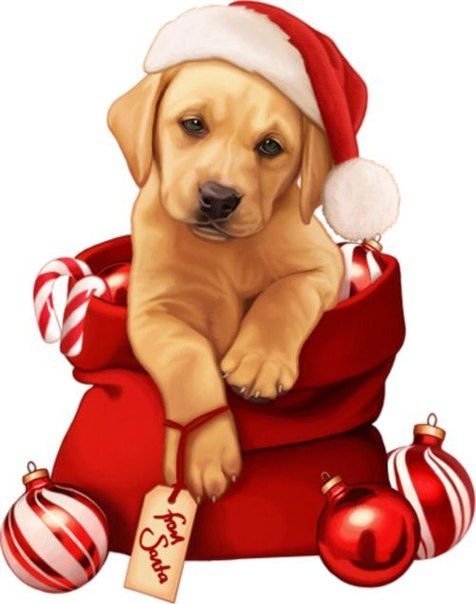 щенок в мешке подарков - щенок, новый год, собака, шары - оригинал