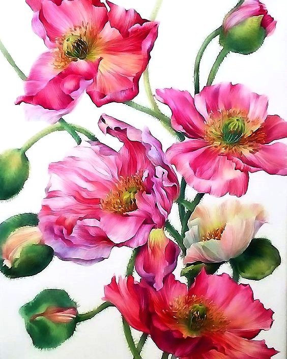 Маки - оригинал