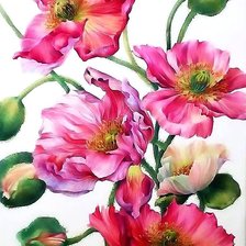 Схема вышивки «Маки»