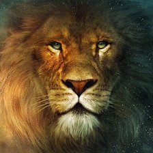 Схема вышивки «лев- Нарния»