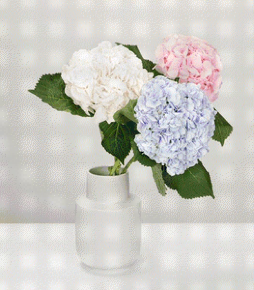 hortenzijas - з - предпросмотр