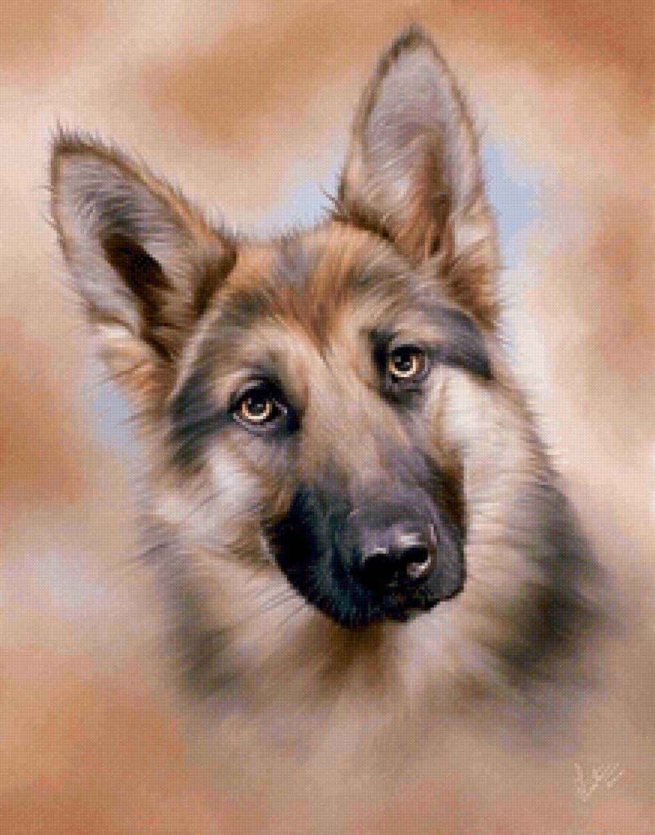 ОВЧАРКА - собаки - предпросмотр