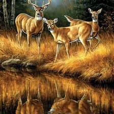 Схема вышивки «НА ВОДОПОЕ»