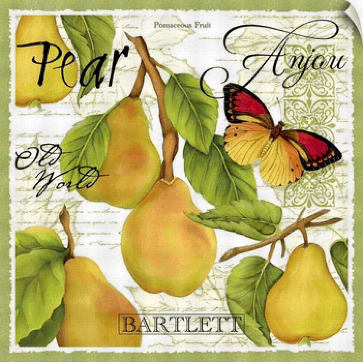 Vintage Botanical - бабочка, груши - предпросмотр
