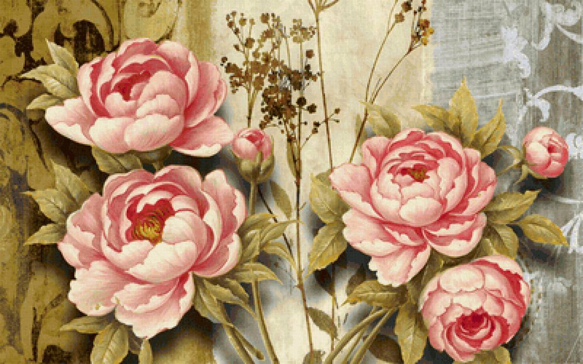 Пионы - предпросмотр