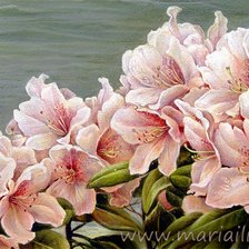 Схема вышивки «цветы»