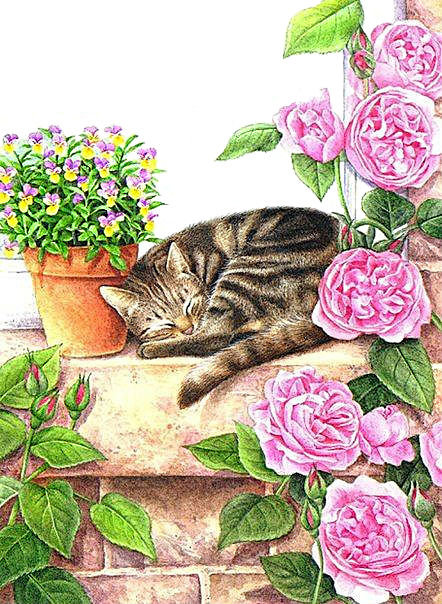 Спящий кот - розы, кот в цветах, цветы, кот - оригинал