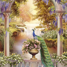 Схема вышивки «Павлин»