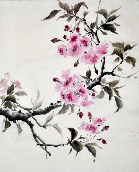 цветы - цветы японии - оригинал