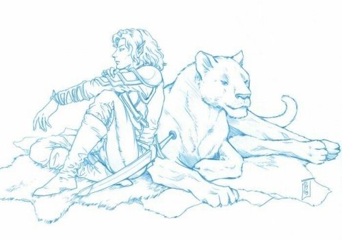 Соратники - эльф, пантера, фэнтези - оригинал