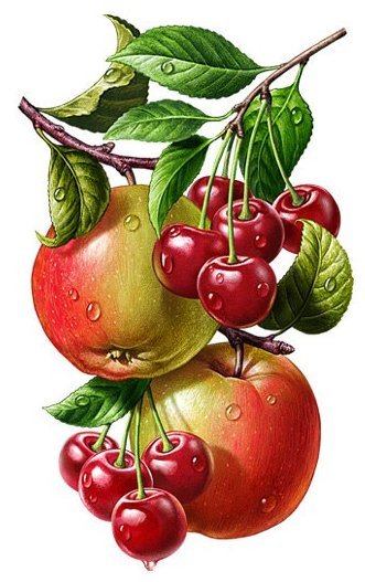 №2171360 - яблоки, вишни, черешни - оригинал