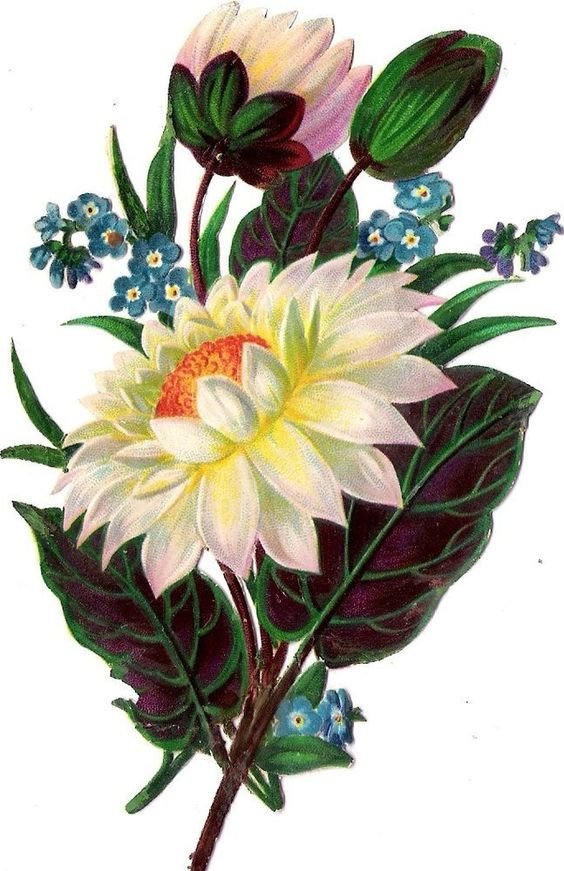 Vintage Botanical Bouquet of Mixed Flowers Poster - цветы - оригинал