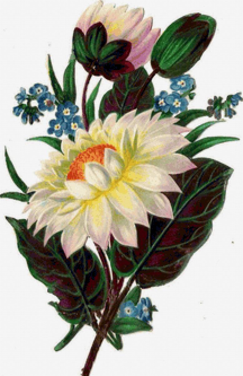 Vintage Botanical Bouquet of Mixed Flowers Poster - цветы - предпросмотр