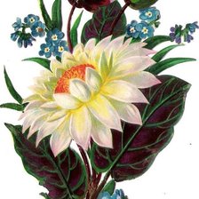 Оригинал схемы вышивки «Vintage Botanical Bouquet of Mixed Flowers Poster» (№2171426)