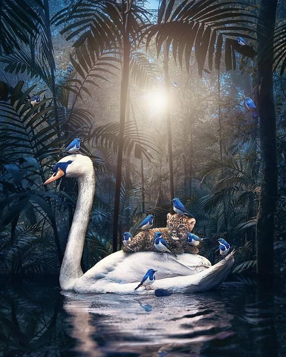 Дикие животные в коллажах Andreas Haggkvist - птицы, леопард, природа - оригинал