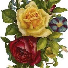 Оригинал схемы вышивки «Vintage Botanical Bouquet of Mixed Flowers Poster» (№2171447)