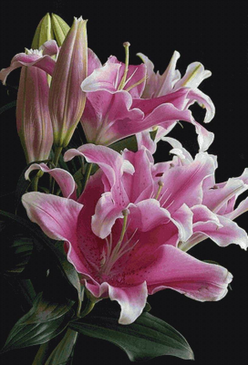 цветы - предпросмотр