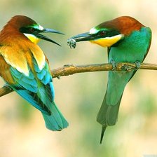 Схема вышивки «Подношение»