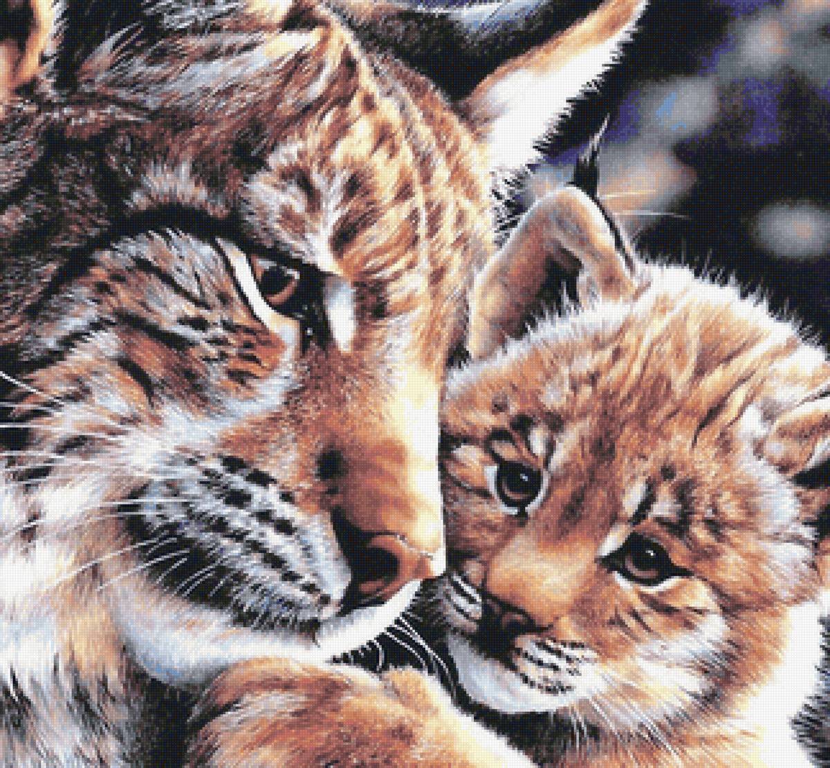 №2171631 - предпросмотр