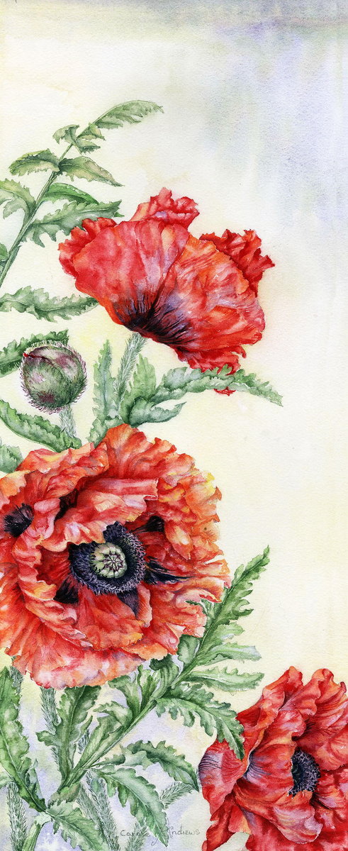 Панелька Маки - оригинал