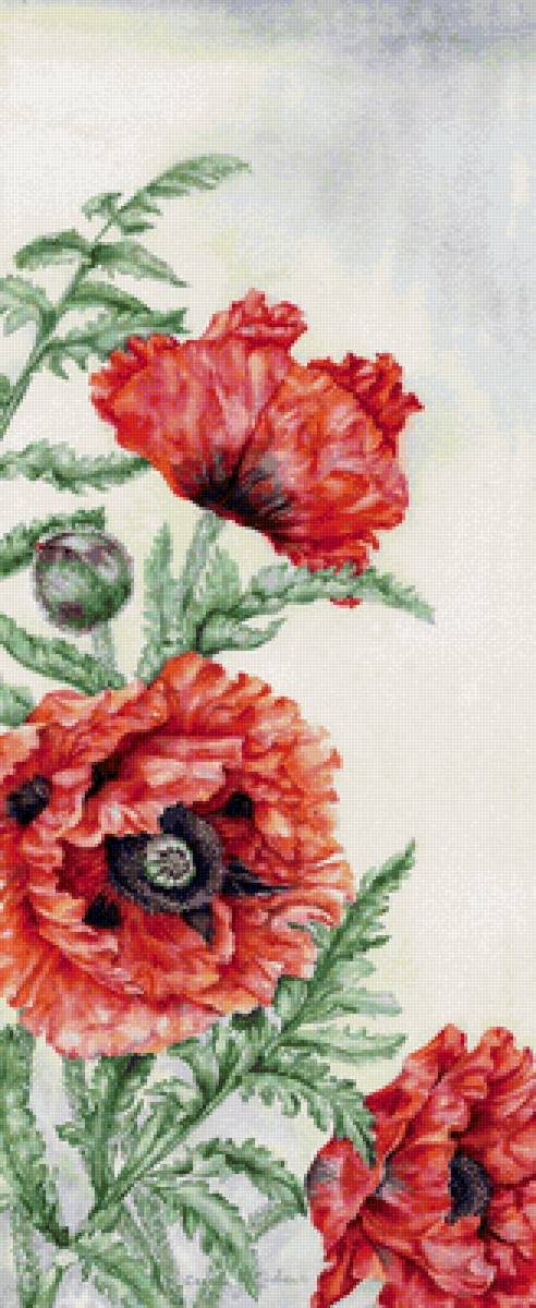 Панелька Маки - предпросмотр