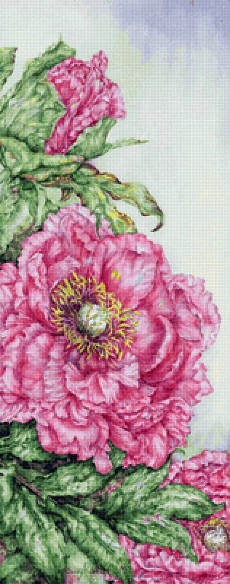 Панелька Пионы - предпросмотр