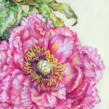 Схема вышивки «Панелька Пионы»