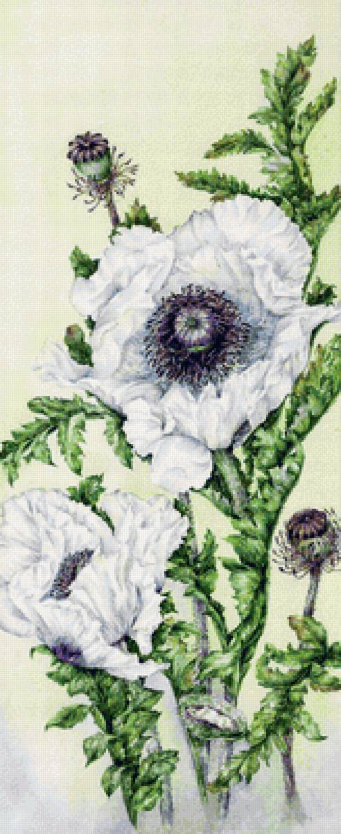 Панелька Маки - предпросмотр