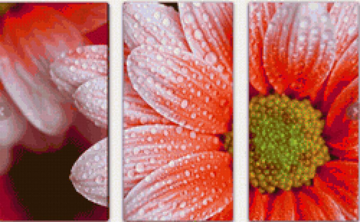 №2171800 - модульная, красота, цветы, гербера - предпросмотр