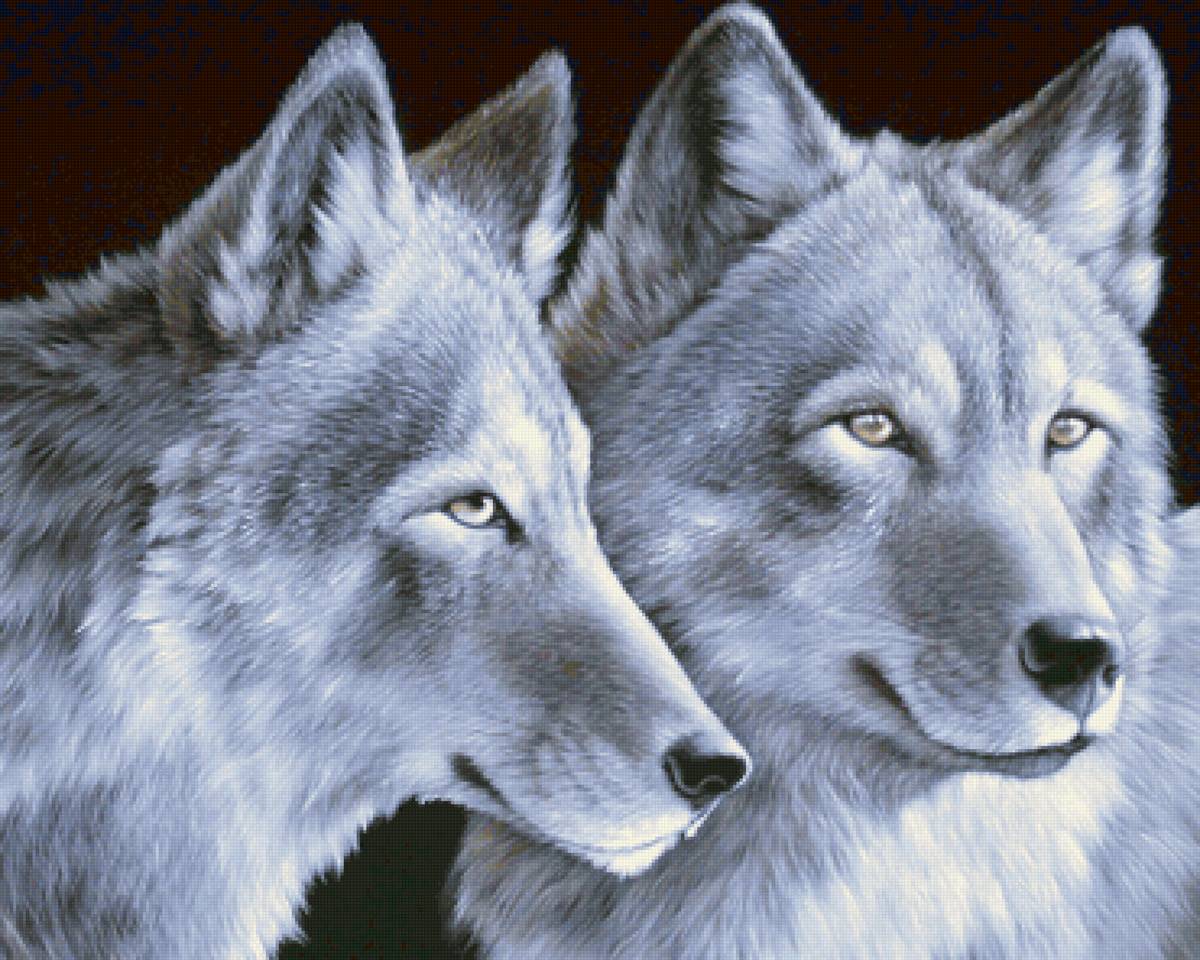 два волка - предпросмотр