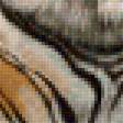 Предпросмотр схемы вышивки «Tigres» (№2171953)