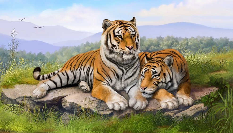 Tigres - animais - оригинал