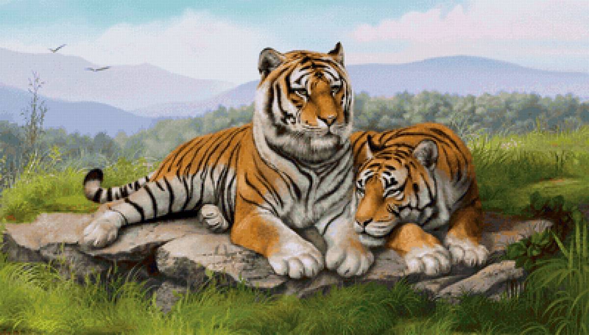 Tigres - animais - предпросмотр