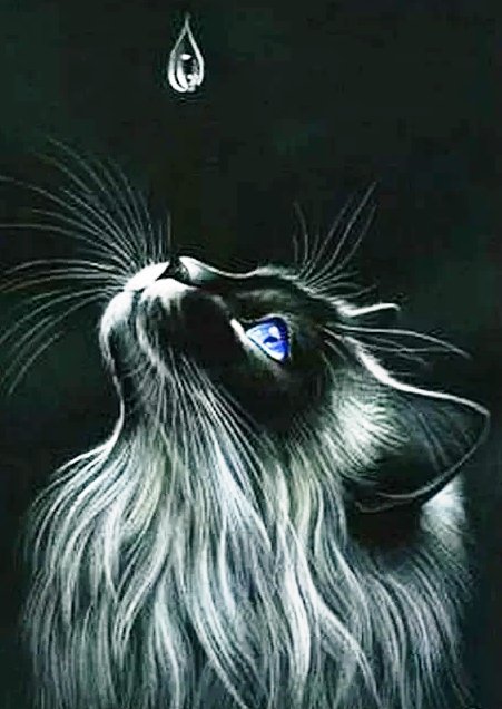 Последняя капля.... - животные, кот - оригинал