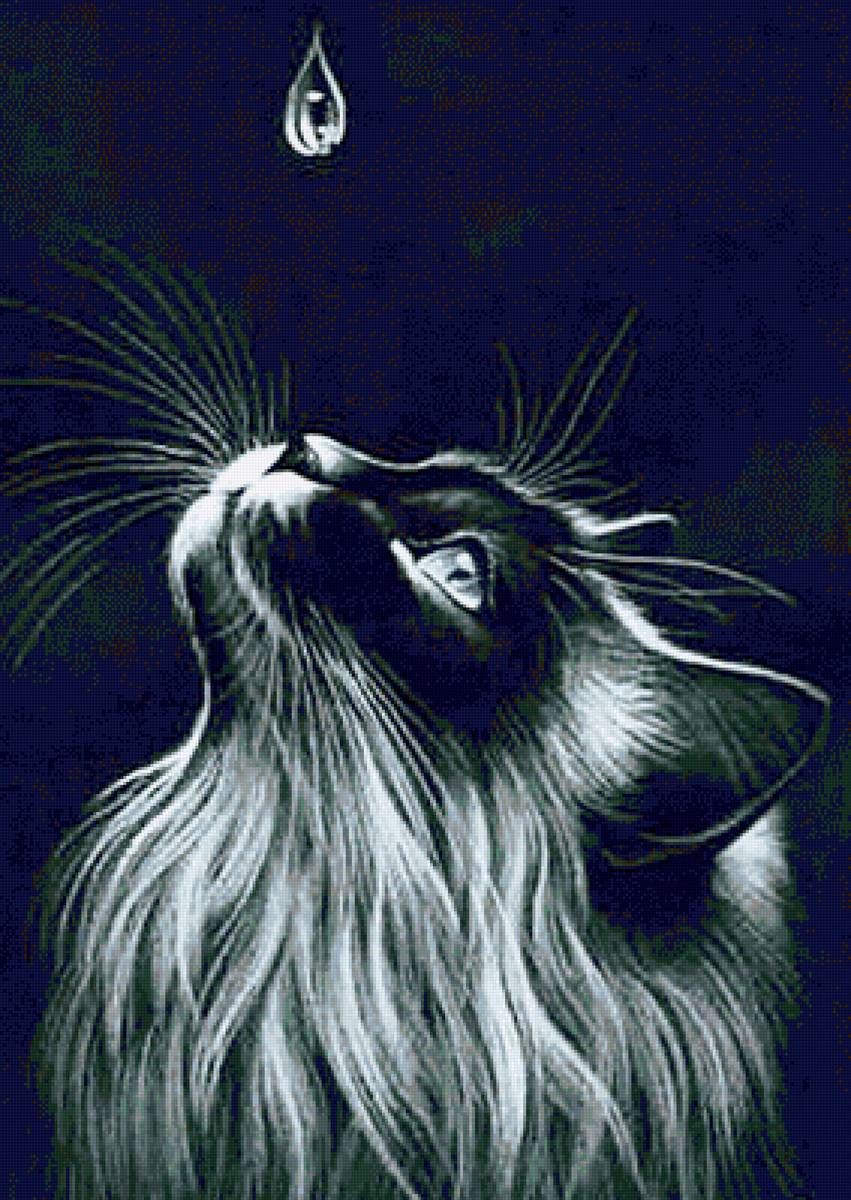 Последняя капля.... - кот, животные - предпросмотр