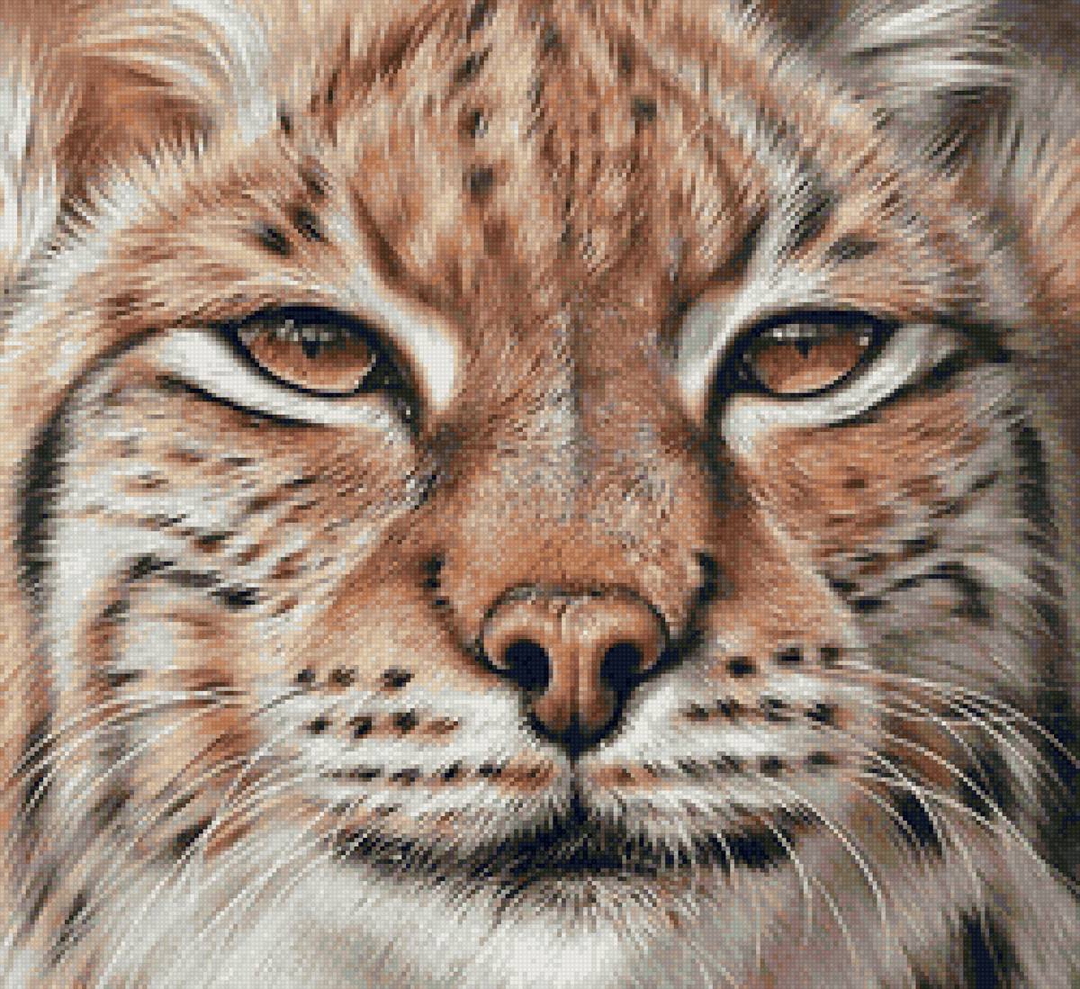 дикие - предпросмотр