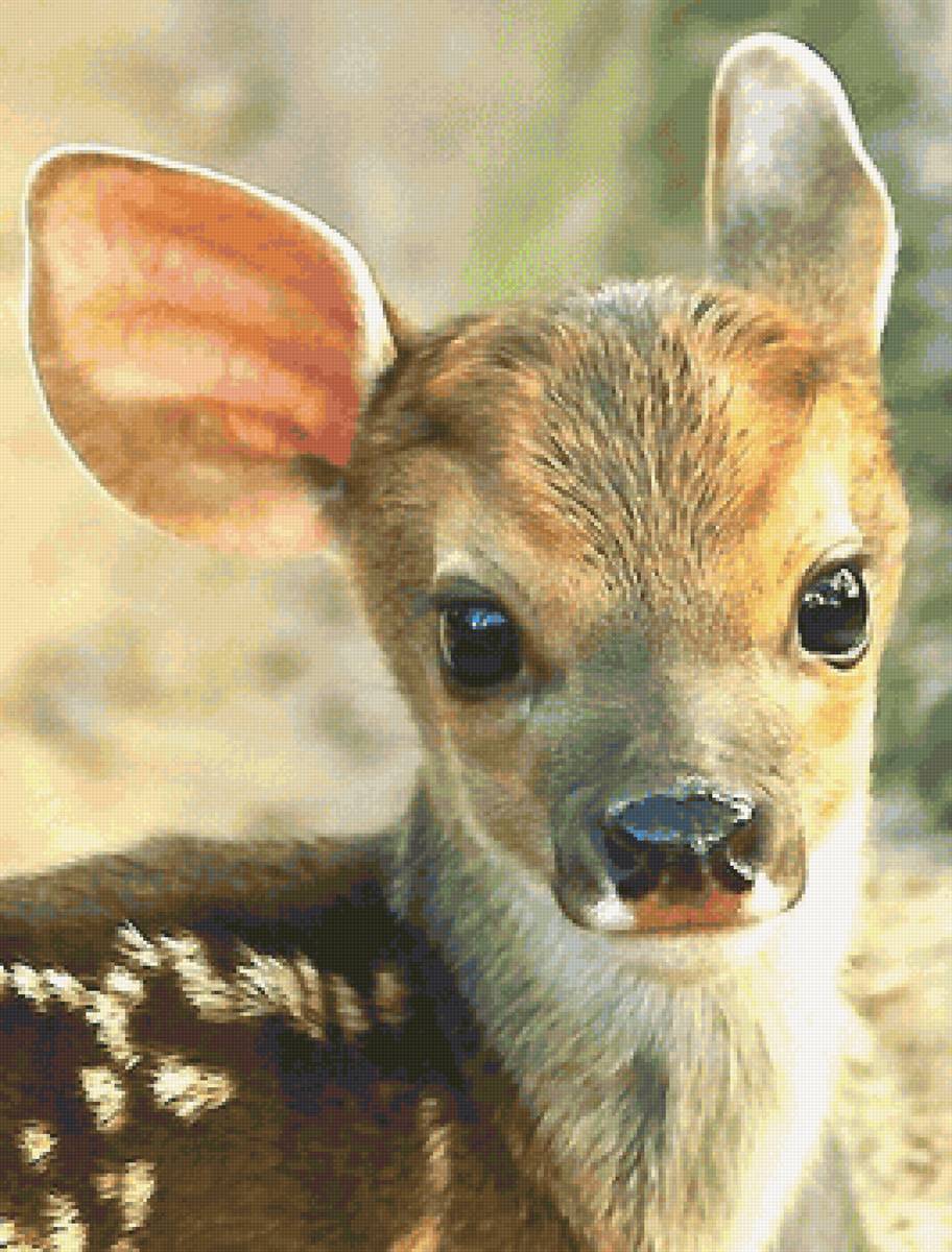 олененок - предпросмотр